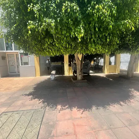 Jardines Del Rocio